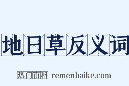 地日草反义词是什么意思的图片